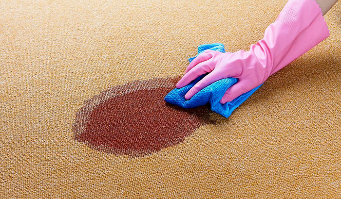 how to clean boat carpets