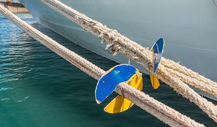 how to keep seagulls off your boat