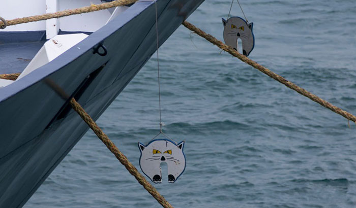 how to keep seagulls, spiders, mice off your boat